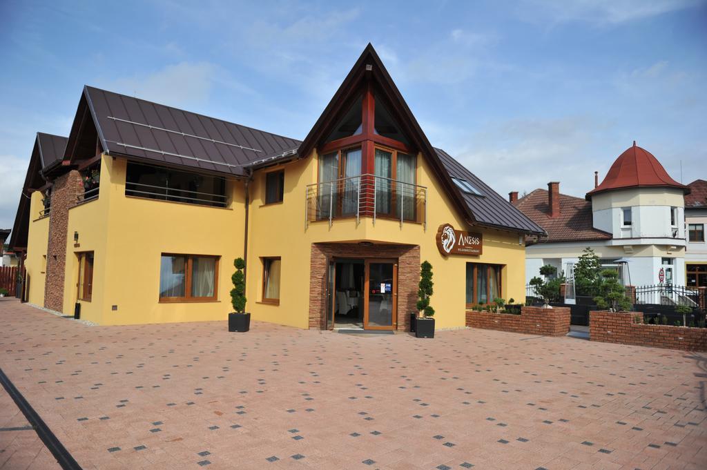 Penzion Anesis - Studia Turcianske Teplice Bagian luar foto